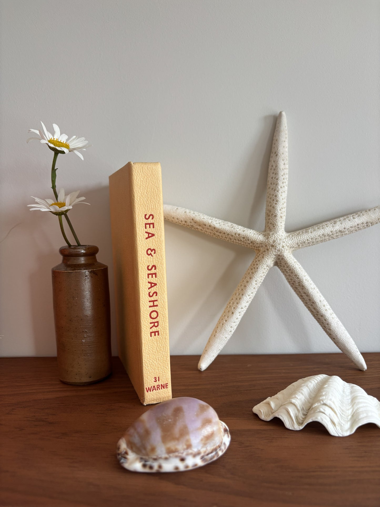 The Observer's Book of Sea and Seashore