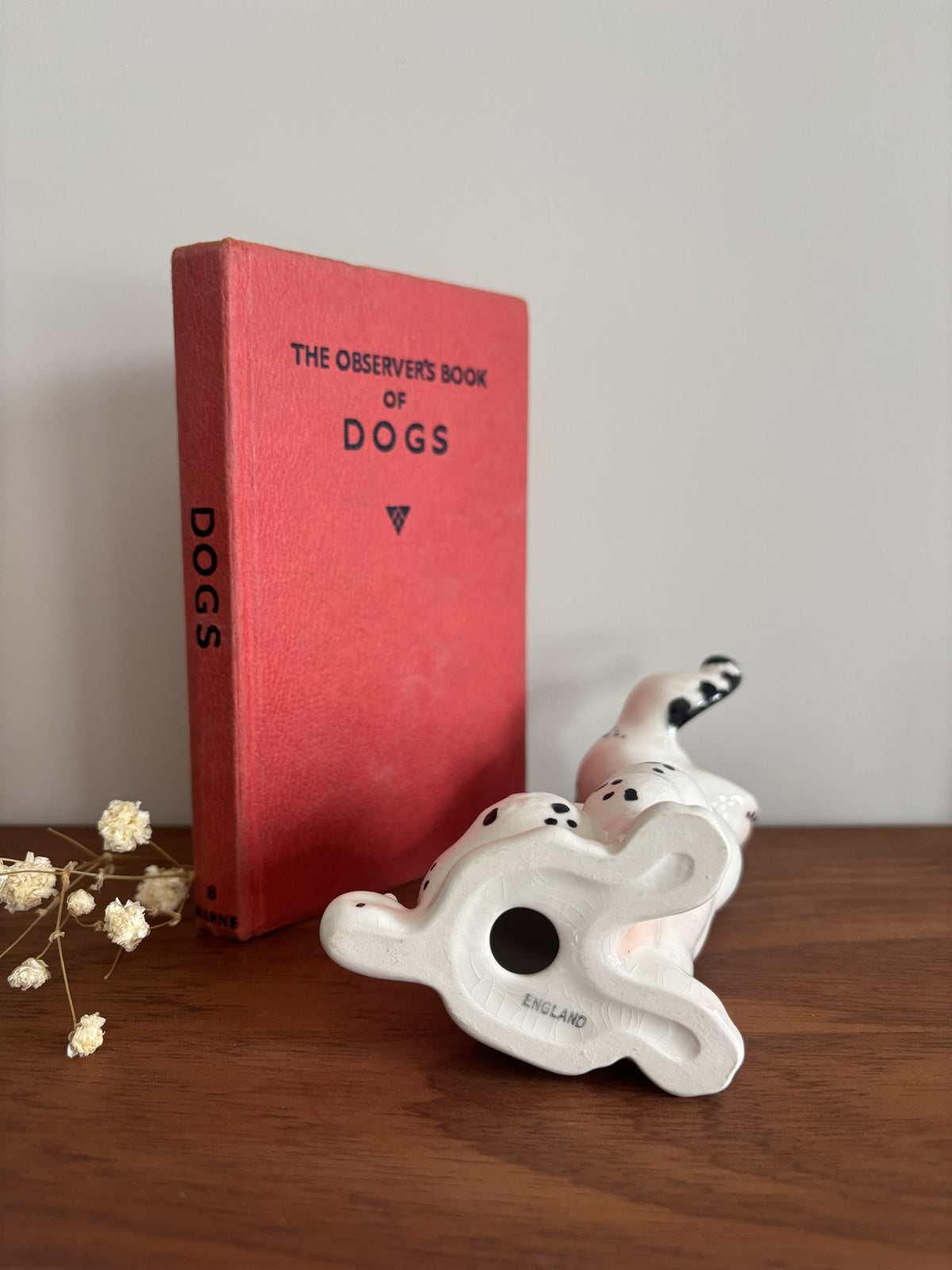 A red hardcover book titled 'The Observer's Book of Dogs' stands on a wooden surface next to a white ceramic dog figurine laying on its side to show its base.  The word England is stamped on the base.  