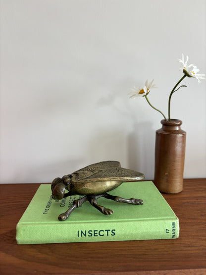 Brass Insect Trinket Dish