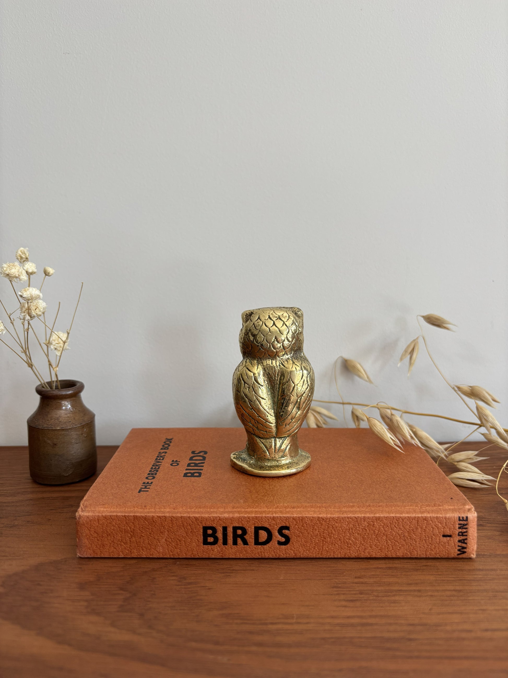 The back of a small brass owl figurine in a gold finish sits on top of a brown leather-bound book titled 'BIRDS', styled on a wooden table with dried flowers and a small vase against a plain light gray wall.