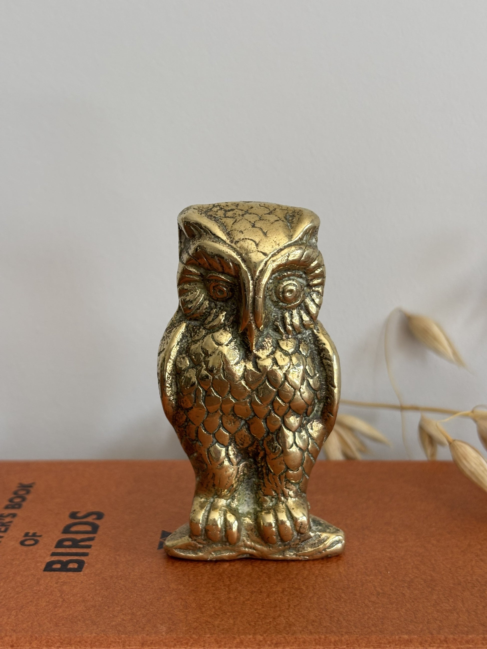 A small brass owl figurine with an antique gold finish, standing on a brown textured surface against a light gray background with dried plant stems.