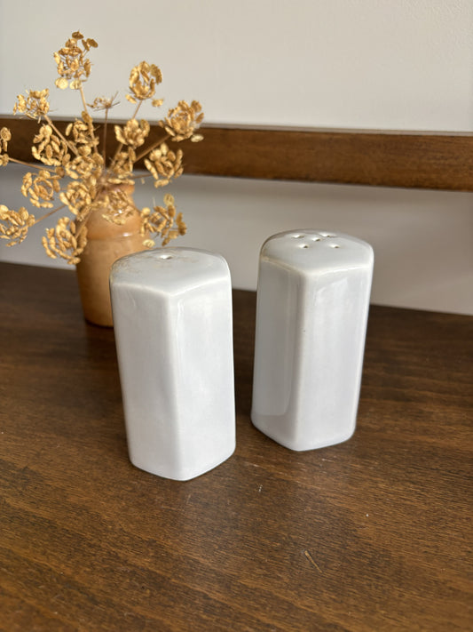 Two light grey ceramic salt and pepper shakers standing on a dark wooden table, with a small vase of dried flowers in the background.