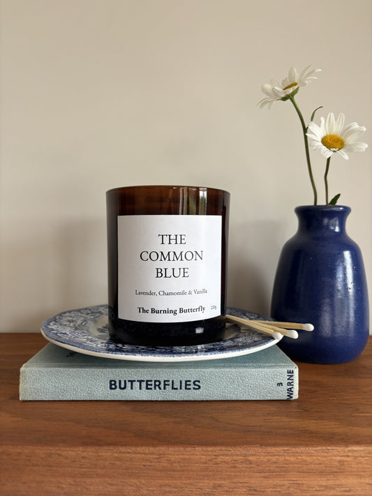 The Burning Butterfly Digital Gift Card