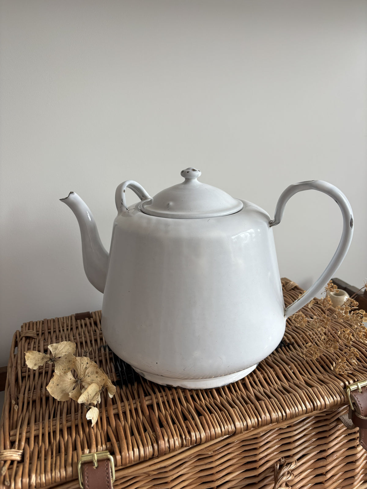 A white enamel teapot with a rounded body, curved handle, and spout, displayed on top of a brown woven wicker trunk against a plain light gray wall.