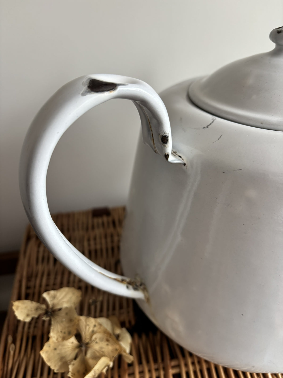 A white enamel teapot with a rounded body, curved handle, and spout, displayed on top of a brown woven wicker trunk against a plain light gray wall.