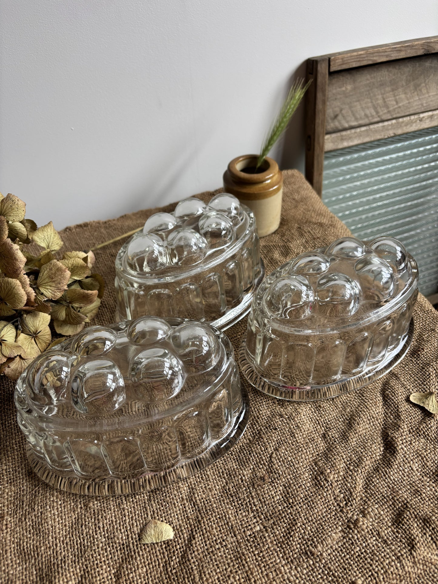 Jelly Moulds