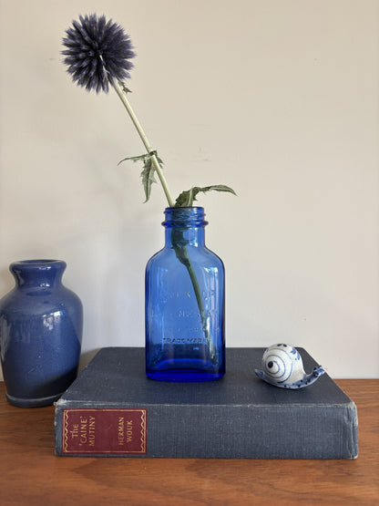 A cobalt blue vintage glass Milk of Magnesia bottle holding a single dark blue globe flower.