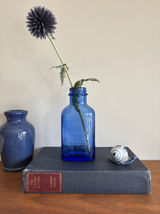 A cobalt blue vintage glass Milk of Magnesia bottle holding a single dark blue globe flower.