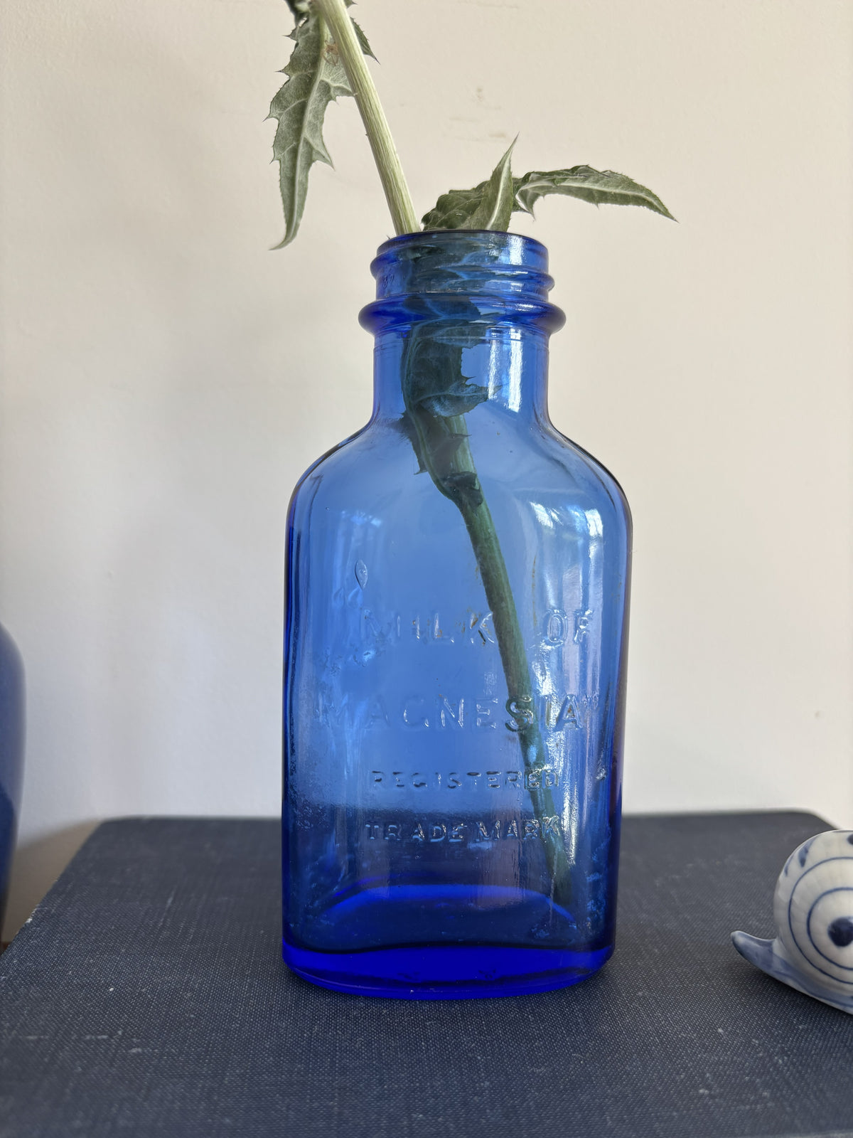 A cobalt blue vintage glass Milk of Magnesia bottle holding a single dark blue globe flower.