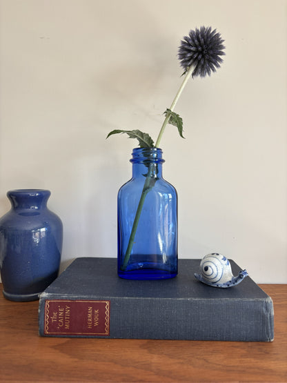 A cobalt blue vintage glass Milk of Magnesia bottle holding a single dark blue globe flower.