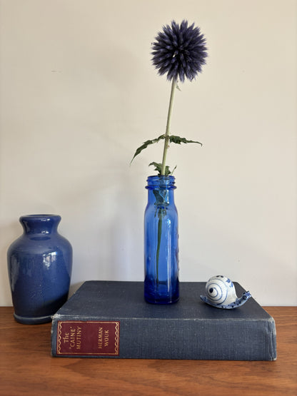 A cobalt blue vintage glass Milk of Magnesia bottle holding a single dark blue globe flower.