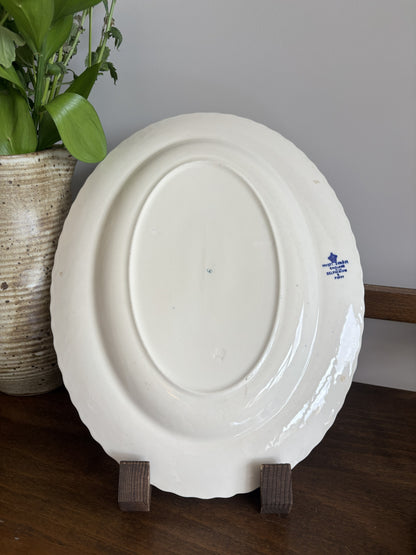 The back of a white ceramic plate showing the blue printed 'Myott Sons Co England Delphinium & Poppy' words