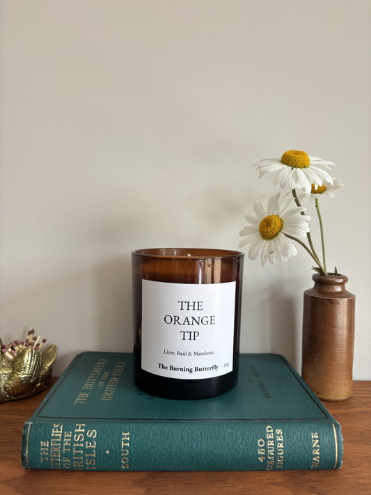 The Orange Tip Scented Candle