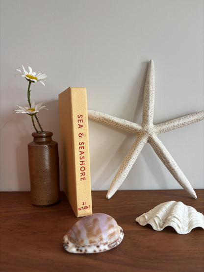 The Observer's Book of Sea and Seashore