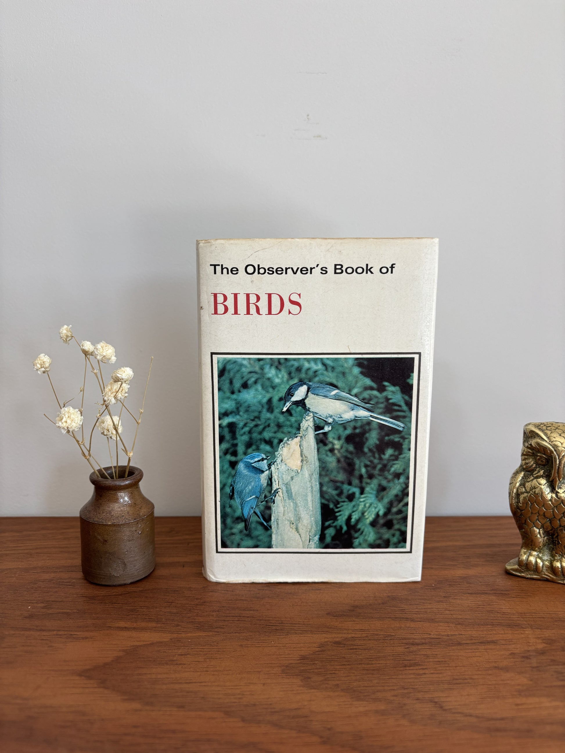 The Observer's Book of Birds standing upright on a wooden table with its dust jacket,  flanked by a small vase with dried white flowers on the left and a gold-toned owl figurine on the right, against a plain light gray wall.