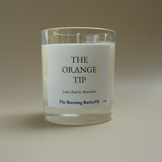 The Orange Tip scented candle
