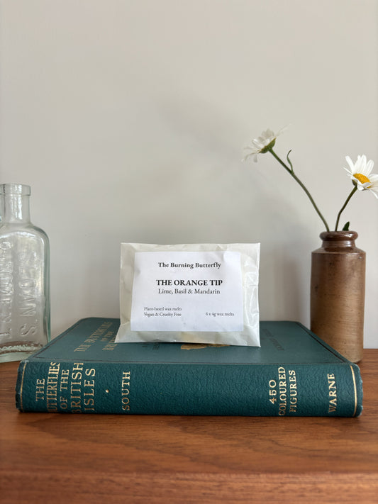The Orange Tip Wax Melts