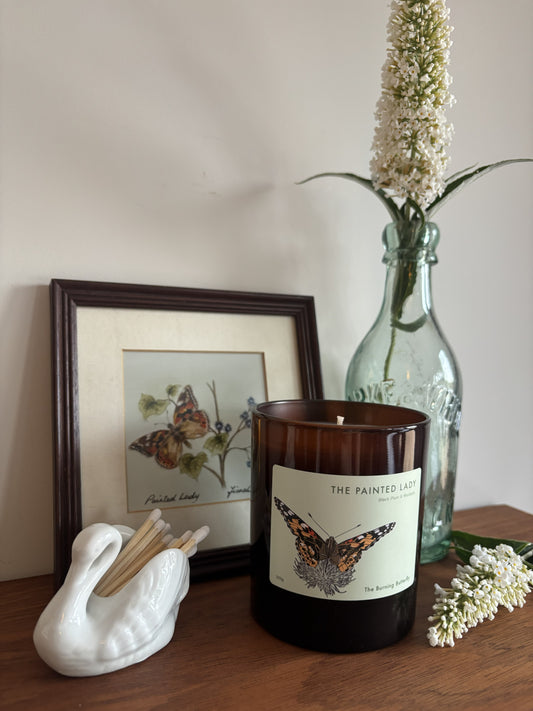 The Painted Lady Scented Candle in amber glass - Black Plum and Rhubarb | The Burning Butterfly