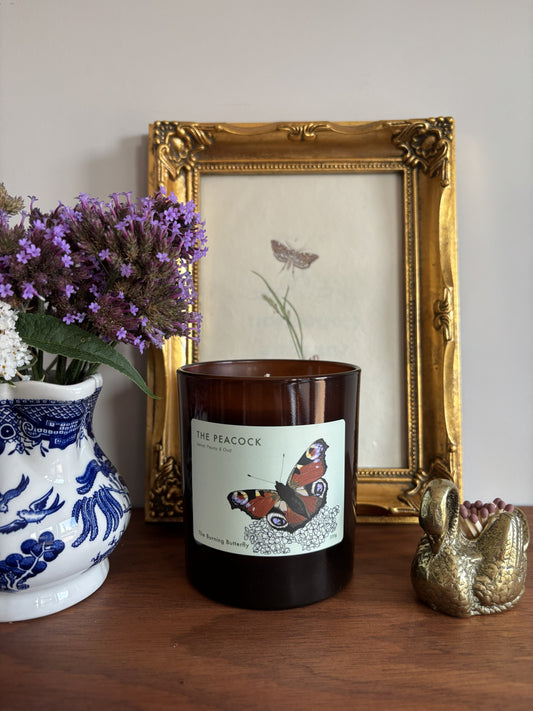 The Peacock Scented Candle in amber glass - Velvet Peony and Oud | The Burning Butterfly