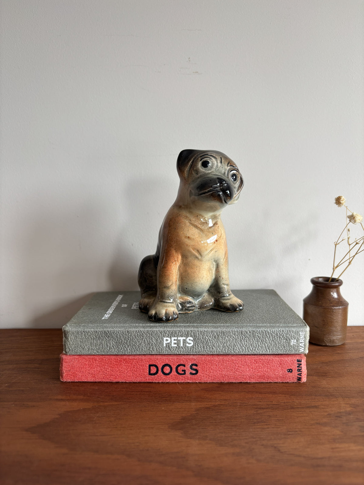 A ceramic puppy dog figurine sitting on top of two stacked books, one gray with the word 'PETS' and one red with the word 'DOGS', placed on a wooden surface against a plain wall.