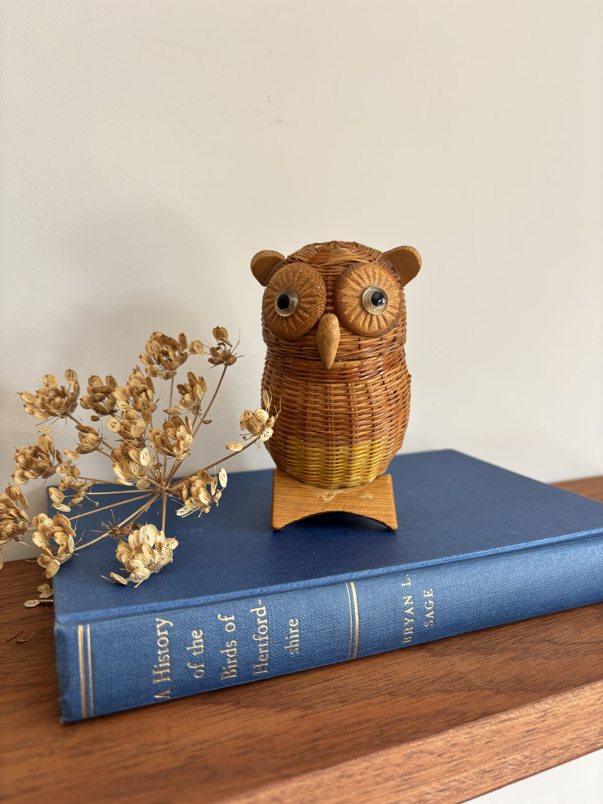 A small wicker owl figurine with large eyes and a wooden beak, displayed on a blue vintage book with dried flowers beside it on a wooden surface against a plain wall.
