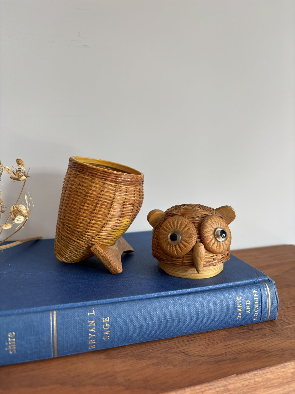 A small wicker owl figurine and a woven basket cup displayed on top of a blue hardcover book on a wooden surface.