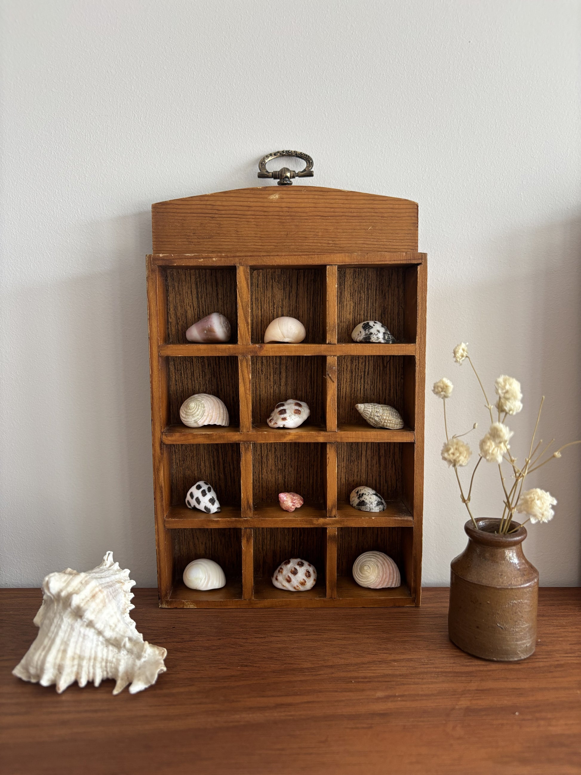 Wooden shelf with seashells and a vase on a wooden surface